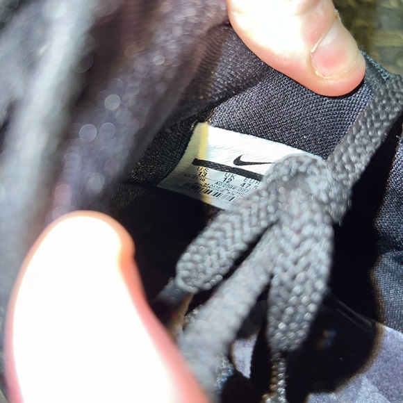 Nike Lebron 16 Fresh Bred - Picture 5 of 7